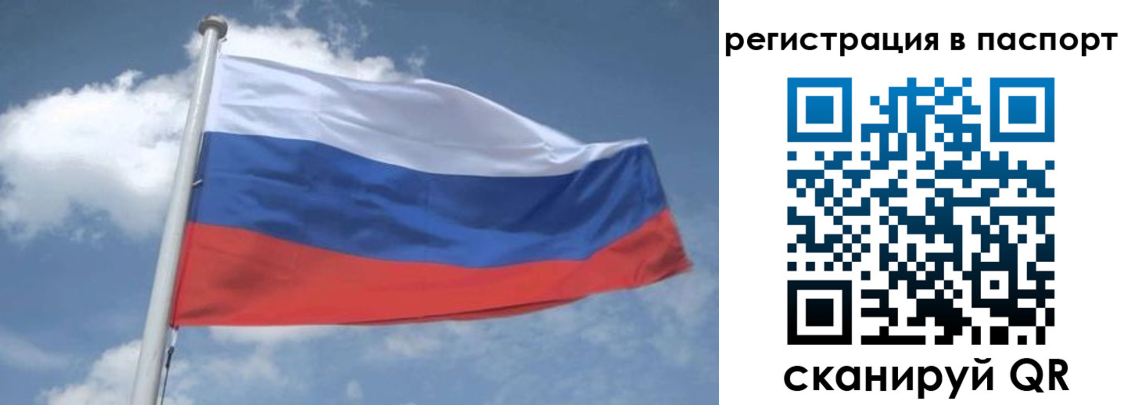 временная регистрация надежно в Новодвинске